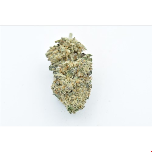 Grandi Guava (Hybrid) - SALE 1 OZ $95